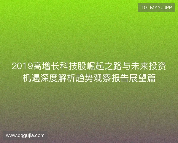 2019高增长科技股崛起之路与未来投资机遇深度解析趋势观察报告展望篇 2019高增长科技股崛起之路与未来投资机遇深度解析趋势观察报告展望篇